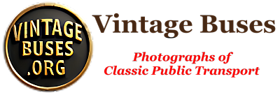 Vintage Buses