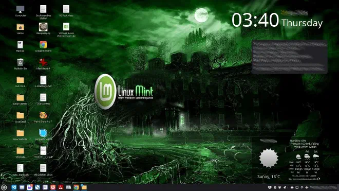 Linux Mint desktop background